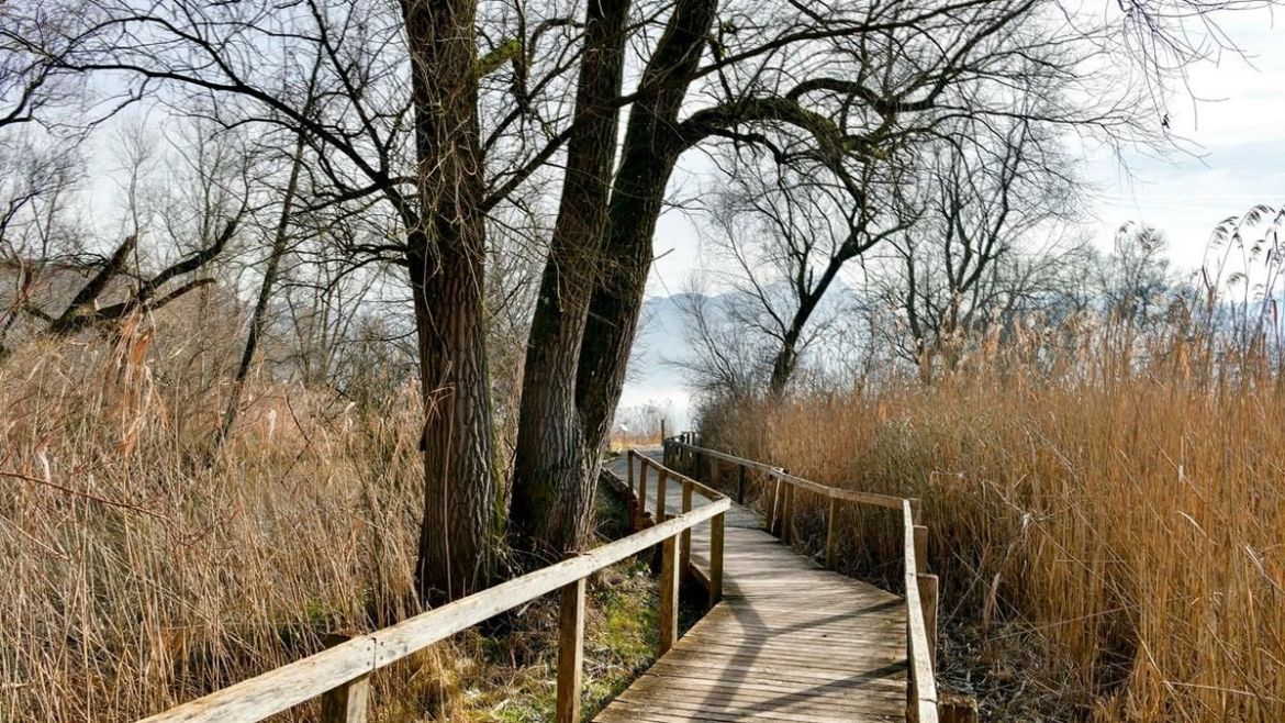 Pruegelweg.jpg